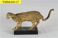 石虎藏品圖，第7張